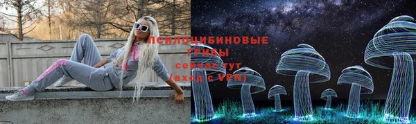 прущая мука Алексин