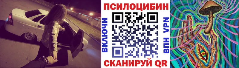 гидра ТОР  Карабулак  Псилоцибиновые грибы Magic Shrooms 